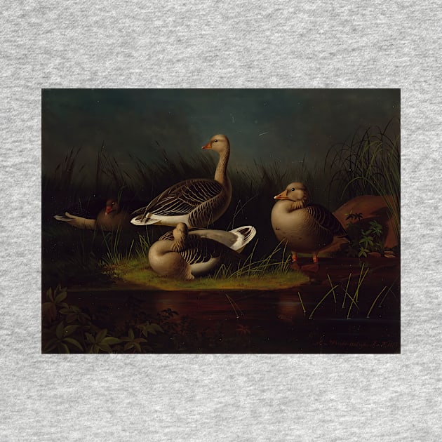 Greylag Geese, Copy After Ferdinand Von Wright by Magnus von Wright by Classic Art Stall